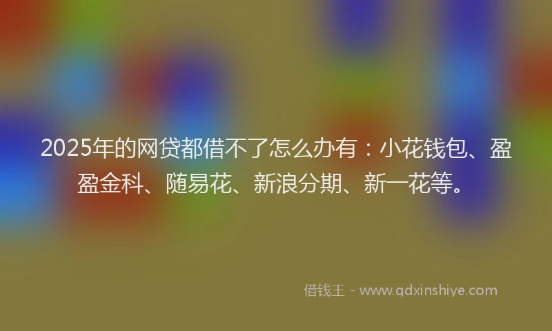 2025年的网贷都借不了怎么办有：小花钱包、盈盈金科、随易花、新浪分期、新一花等。