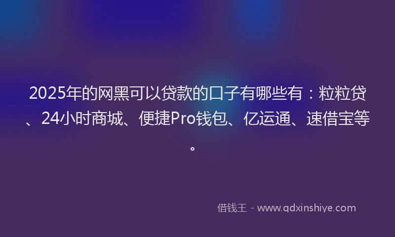 2025年的网黑可以贷款的口子有哪些有：粒粒贷、24小时商城、便捷Pro钱包、亿运通、速借宝等。