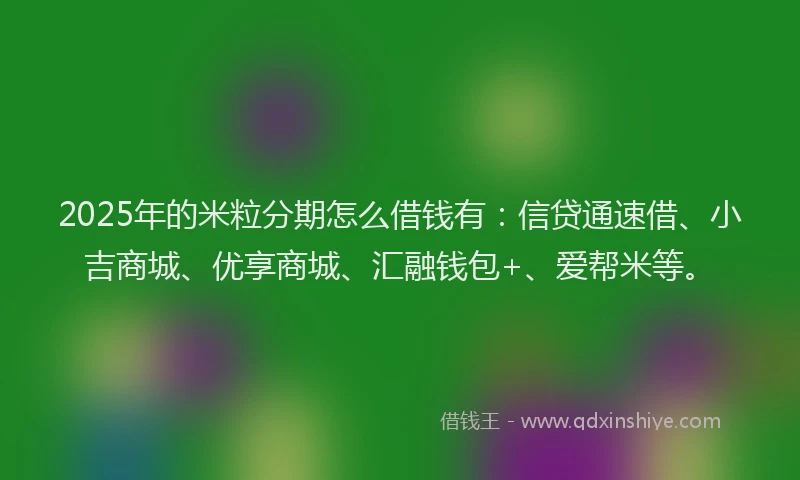 2025年的米粒分期怎么借钱有：信贷通速借、小吉商城、优享商城、汇融钱包+、爱帮米等。