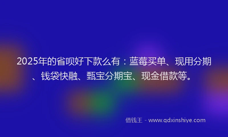 2025年的省呗好下款么有：蓝莓买单、现用分期、钱袋快融、甄宝分期宝、现金借款等。