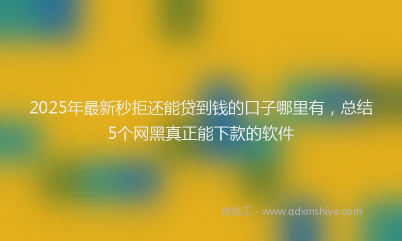 2025年最新秒拒还能贷到钱的口子哪里有，总结5个网黑真正能下款的软件