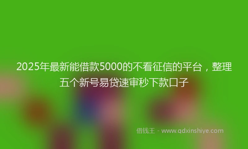 2025年最新能借款5000的不看征信的平台，整理五个新号易贷速审秒下款口子