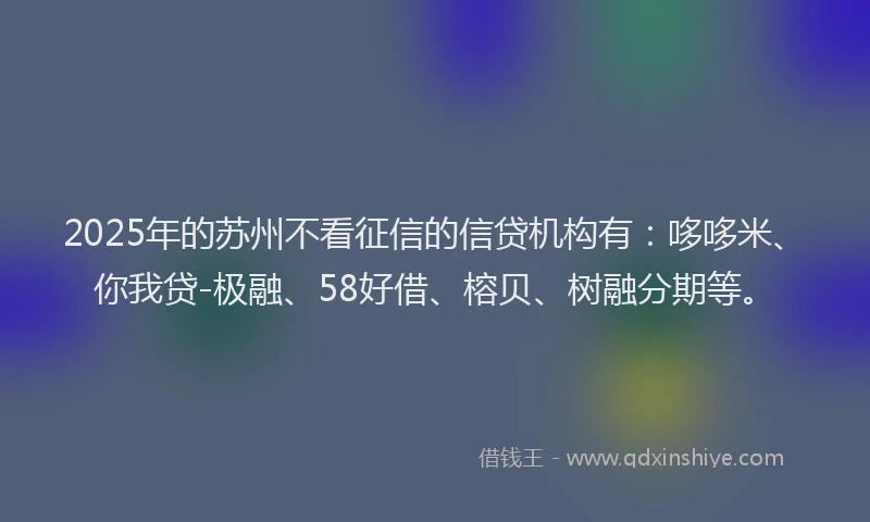 2025年的苏州不看征信的信贷机构有：哆哆米、你我贷-极融、58好借、榕贝、树融分期等。