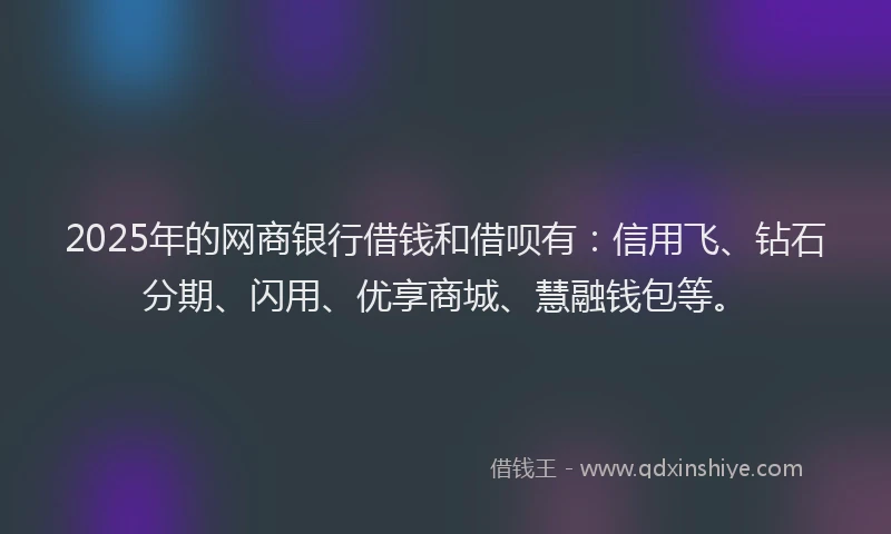 2025年的网商银行借钱和借呗有：信用飞、钻石分期、闪用、优享商城、慧融钱包等。