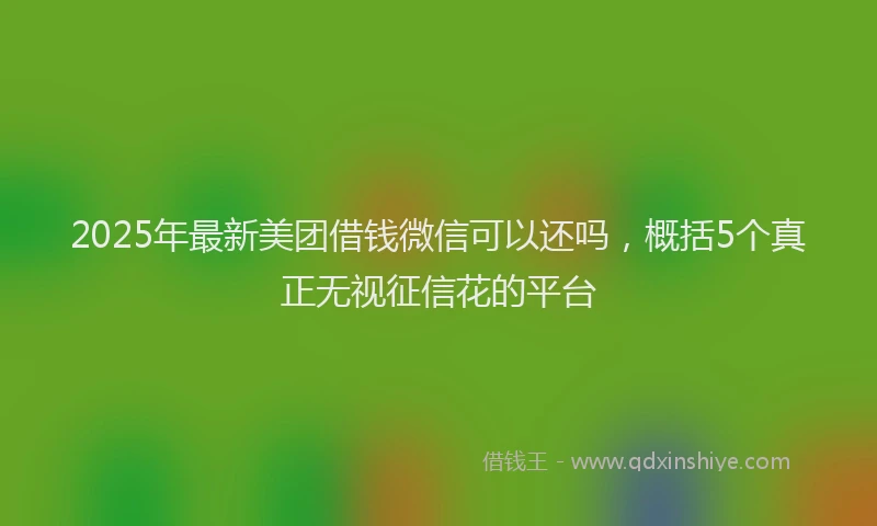 2025年最新美团借钱微信可以还吗，概括5个真正无视征信花的平台