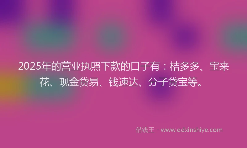 2025年的营业执照下款的口子有：桔多多、宝来花、现金贷易、钱速达、分子贷宝等。