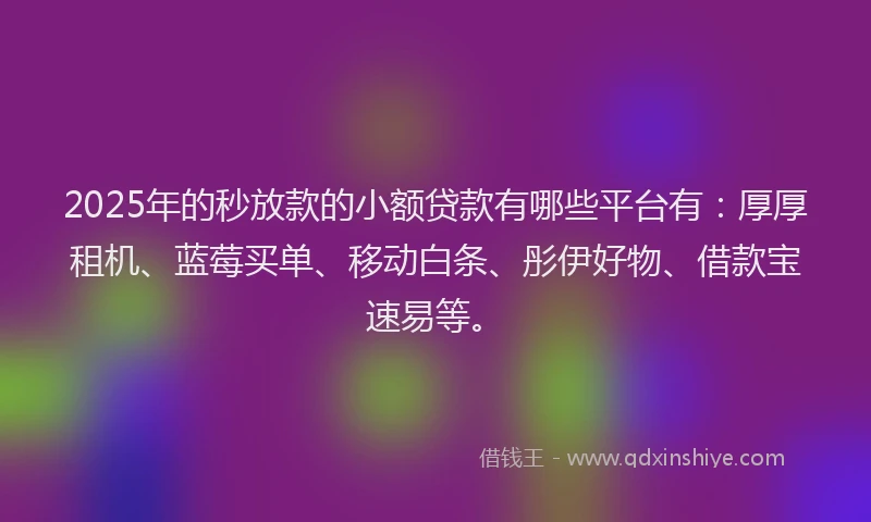 2025年的秒放款的小额贷款有哪些平台有：厚厚租机、蓝莓买单、移动白条、彤伊好物、借款宝速易等。