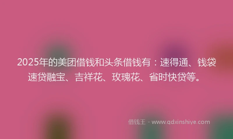 2025年的美团借钱和头条借钱有：速得通、钱袋速贷融宝、吉祥花、玫瑰花、省时快贷等。