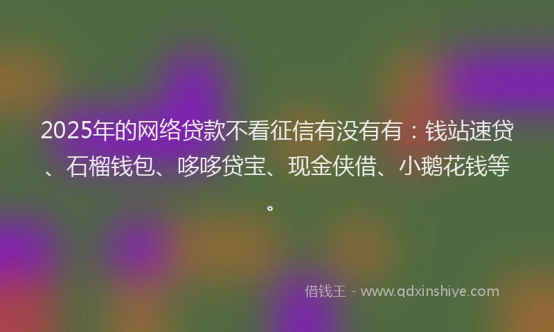 2025年的网络贷款不看征信有没有有：钱站速贷、石榴钱包、哆哆贷宝、现金侠借、小鹅花钱等。