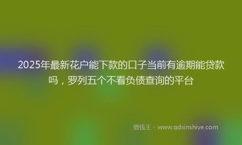 2025年最新花户能下款的口子当前有逾期能贷款吗，罗列五个不看负债查询的平台