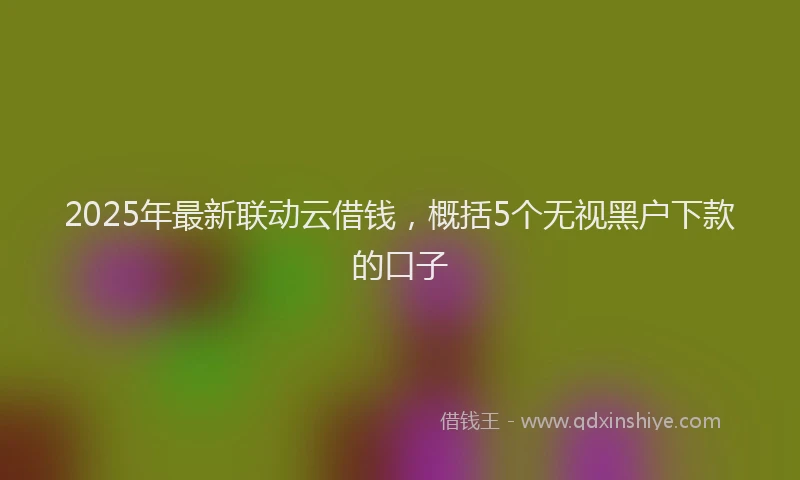 2025年最新联动云借钱，概括5个无视黑户下款的口子