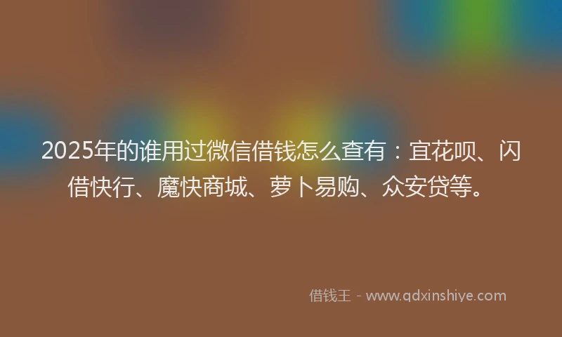 2025年的谁用过微信借钱怎么查有：宜花呗、闪借快行、魔快商城、萝卜易购、众安贷等。