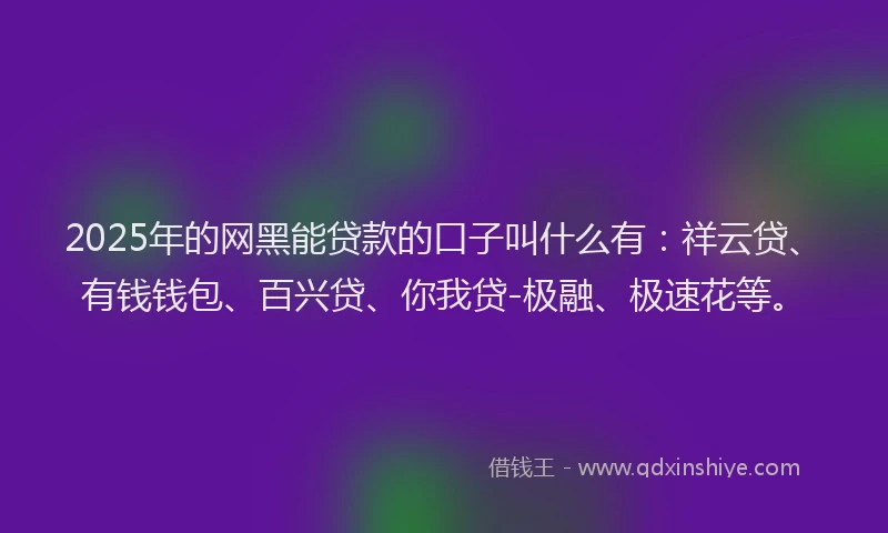 2025年的网黑能贷款的口子叫什么有：祥云贷、有钱钱包、百兴贷、你我贷-极融、极速花等。