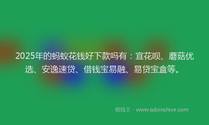 2025年的蚂蚁花钱好下款吗有：宜花呗、蘑菇优选、安逸速贷、借钱宝易融、易贷宝盒等。