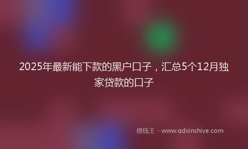 2025年最新能下款的黑户口子，汇总5个12月独家贷款的口子