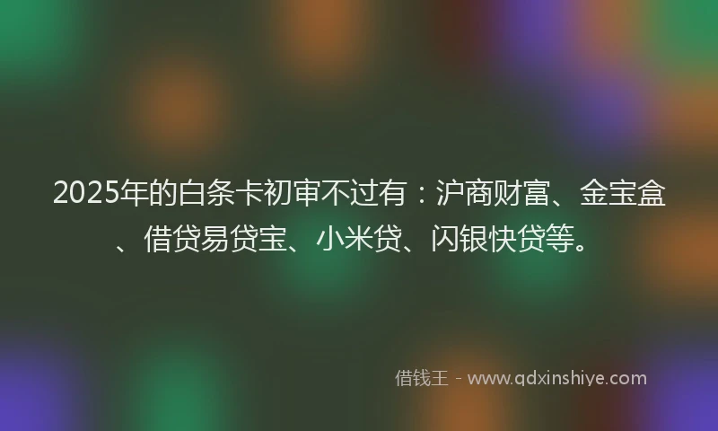 2025年的白条卡初审不过有：沪商财富、金宝盒、借贷易贷宝、小米贷、闪银快贷等。