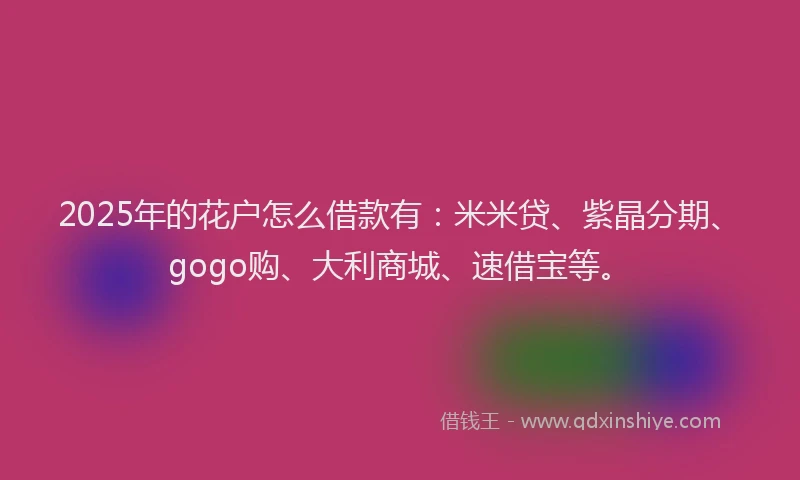 2025年的花户怎么借款有：米米贷、紫晶分期、gogo购、大利商城、速借宝等。