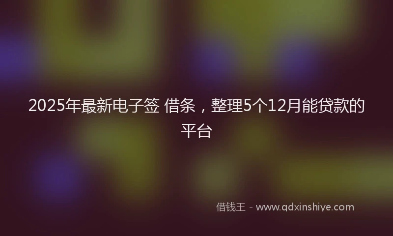 2025年最新电子签 借条，整理5个12月能贷款的平台