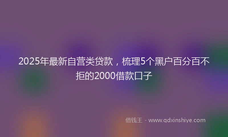 2025年最新自营类贷款，梳理5个黑户百分百不拒的2000借款口子