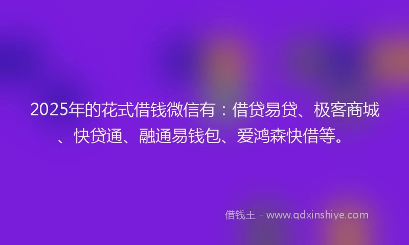 2025年的花式借钱微信有：借贷易贷、极客商城、快贷通、融通易钱包、爱鸿森快借等。