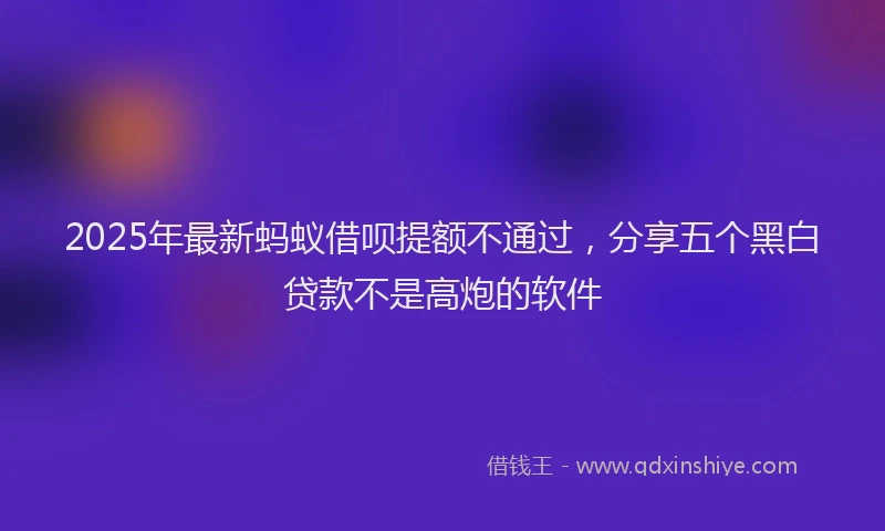 2025年最新蚂蚁借呗提额不通过，分享五个黑白贷款不是高炮的软件
