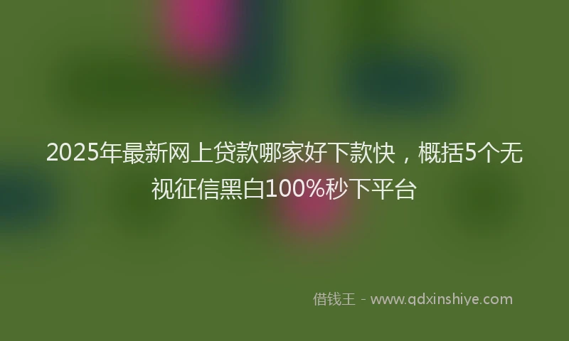 2025年最新网上贷款哪家好下款快，概括5个无视征信黑白100%秒下平台