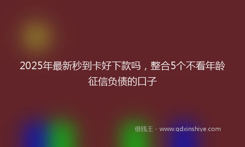 2025年最新秒到卡好下款吗，整合5个不看年龄征信负债的口子