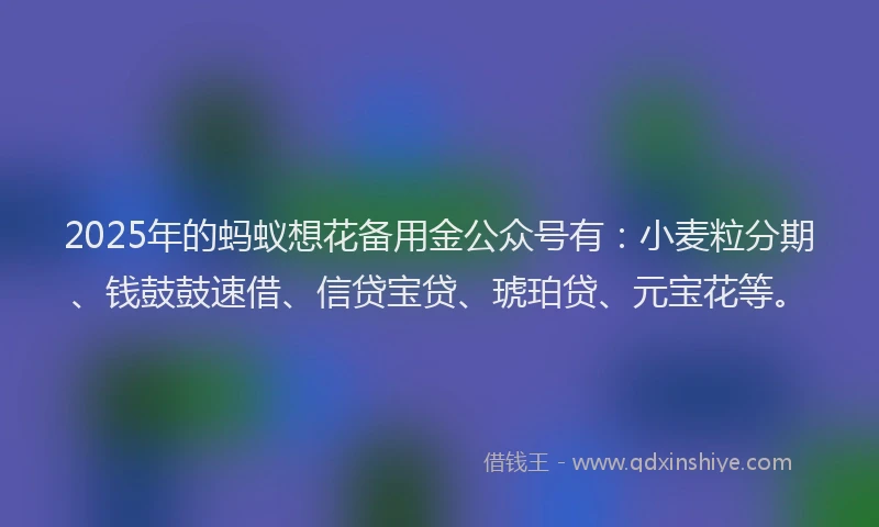 2025年的蚂蚁想花备用金公众号有：小麦粒分期、钱鼓鼓速借、信贷宝贷、琥珀贷、元宝花等。