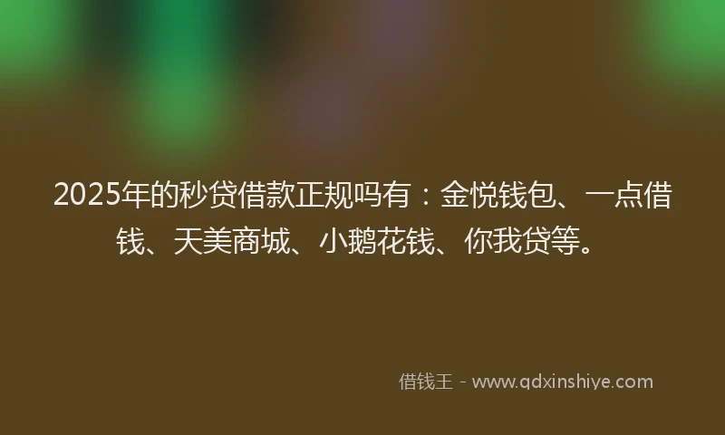 2025年的秒贷借款正规吗有：金悦钱包、一点借钱、天美商城、小鹅花钱、你我贷等。