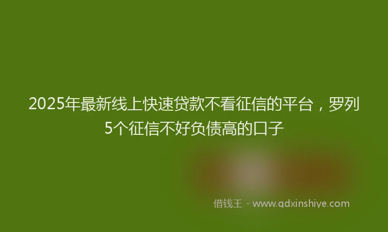 2025年最新线上快速贷款不看征信的平台，罗列5个征信不好负债高的口子