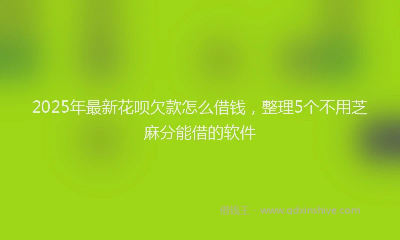 2025年最新花呗欠款怎么借钱，整理5个不用芝麻分能借的软件