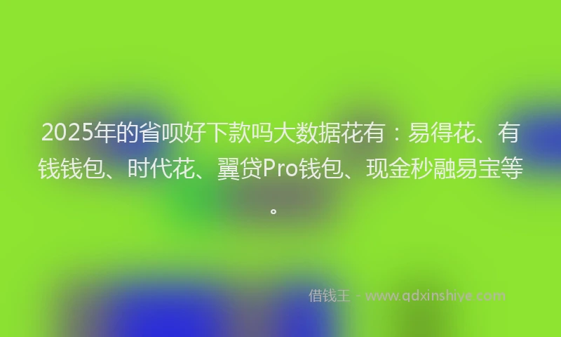 2025年的省呗好下款吗大数据花有：易得花、有钱钱包、时代花、翼贷Pro钱包、现金秒融易宝等。