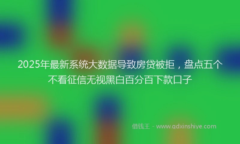 2025年最新系统大数据导致房贷被拒，盘点五个不看征信无视黑白百分百下款口子