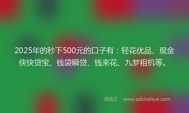 2025年的秒下500元的口子有：轻花优品、现金侠快贷宝、钱袋瞬贷、钱来花、九梦租机等。