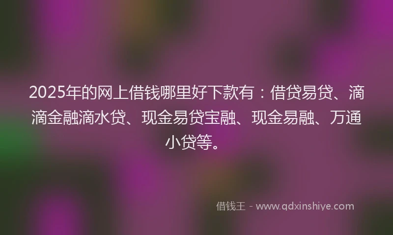2025年的网上借钱哪里好下款有：借贷易贷、滴滴金融滴水贷、现金易贷宝融、现金易融、万通小贷等。