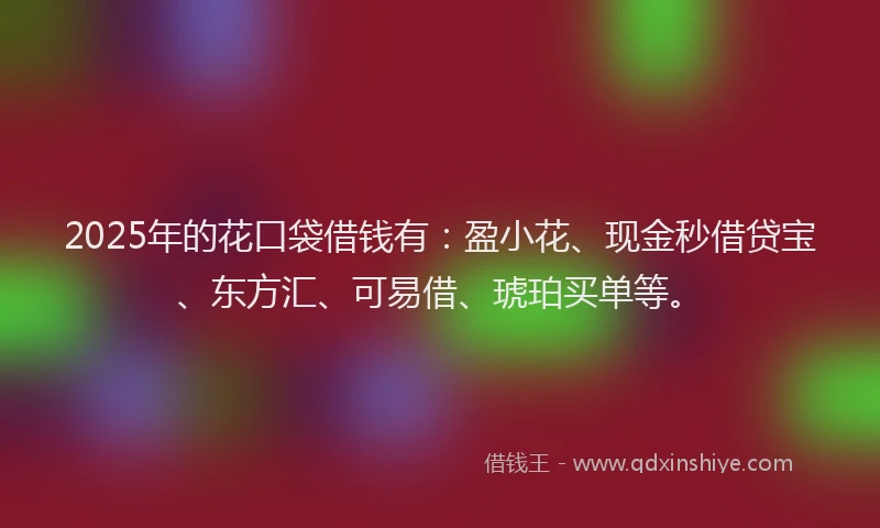 2025年的花口袋借钱有：盈小花、现金秒借贷宝、东方汇、可易借、琥珀买单等。