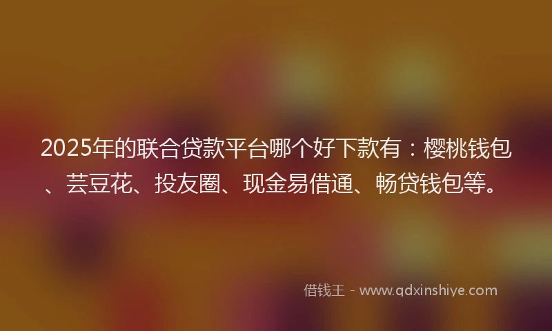 2025年的联合贷款平台哪个好下款有：樱桃钱包、芸豆花、投友圈、现金易借通、畅贷钱包等。