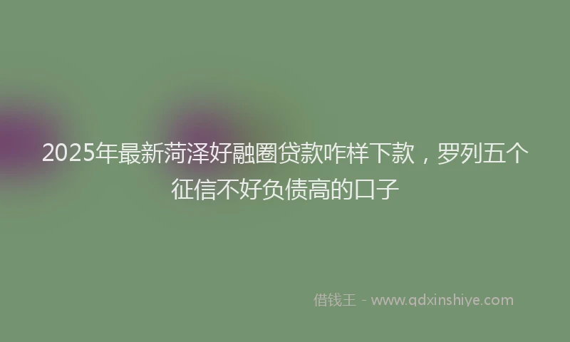 2025年最新菏泽好融圈贷款咋样下款，罗列五个征信不好负债高的口子