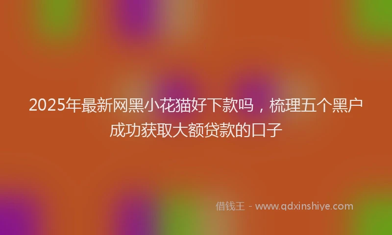 2025年最新网黑小花猫好下款吗，梳理五个黑户成功获取大额贷款的口子