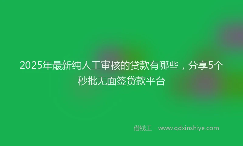 2025年最新纯人工审核的贷款有哪些，分享5个秒批无面签贷款平台
