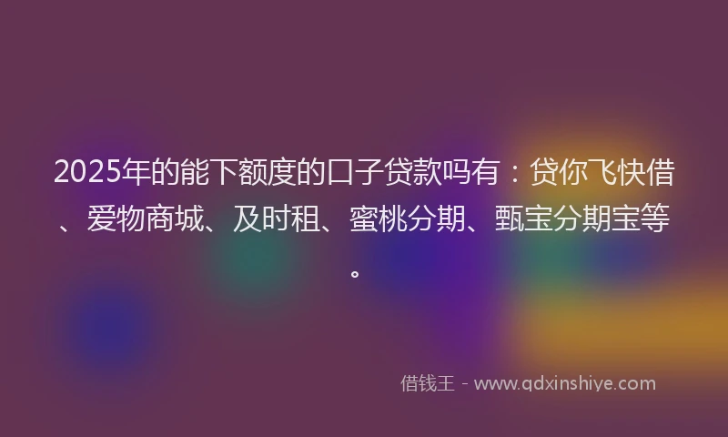 2025年的能下额度的口子贷款吗有：贷你飞快借、爱物商城、及时租、蜜桃分期、甄宝分期宝等。