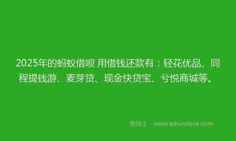 2025年的蚂蚁借呗 用借钱还款有：轻花优品、同程提钱游、麦芽贷、现金快贷宝、兮悦商城等。