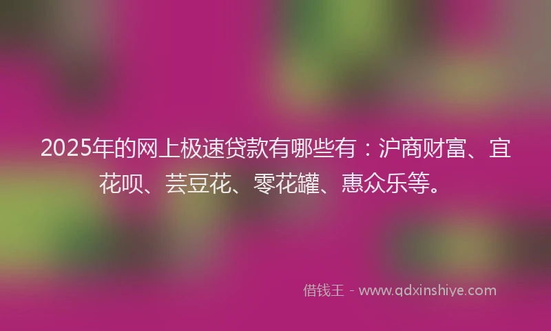 2025年的网上极速贷款有哪些有：沪商财富、宜花呗、芸豆花、零花罐、惠众乐等。