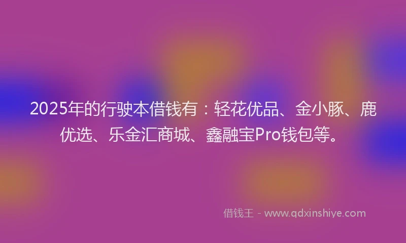 2025年的行驶本借钱有：轻花优品、金小豚、鹿优选、乐金汇商城、鑫融宝Pro钱包等。