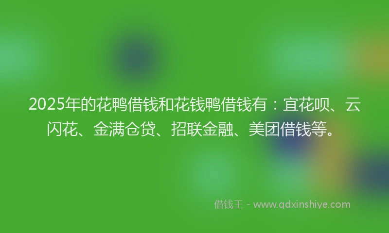2025年的花鸭借钱和花钱鸭借钱有：宜花呗、云闪花、金满仓贷、招联金融、美团借钱等。