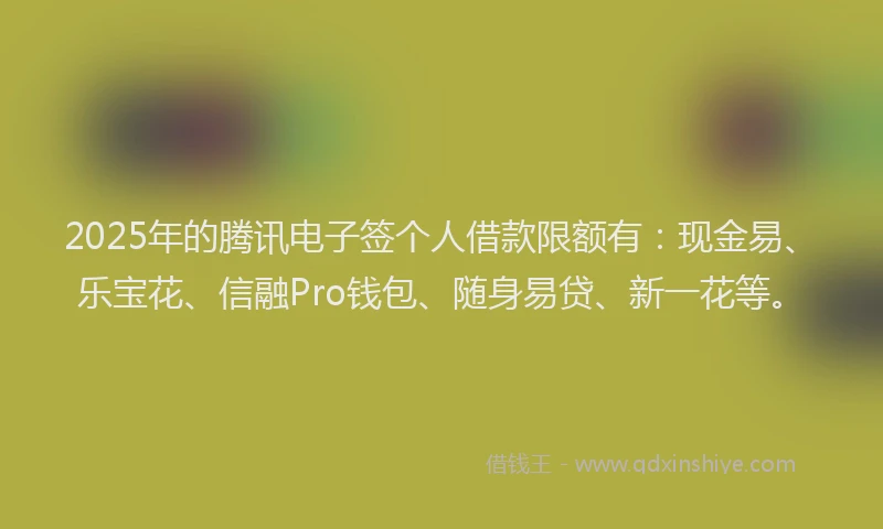 2025年的腾讯电子签个人借款限额有：现金易、乐宝花、信融Pro钱包、随身易贷、新一花等。