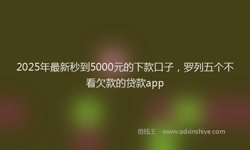 2025年最新秒到5000元的下款口子，罗列五个不看欠款的贷款app