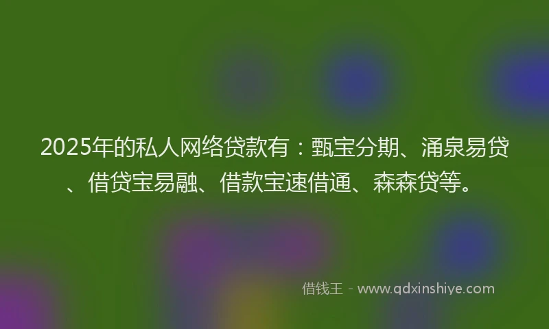 2025年的私人网络贷款有：甄宝分期、涌泉易贷、借贷宝易融、借款宝速借通、森森贷等。