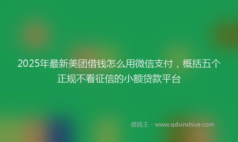2025年最新美团借钱怎么用微信支付，概括五个正规不看征信的小额贷款平台