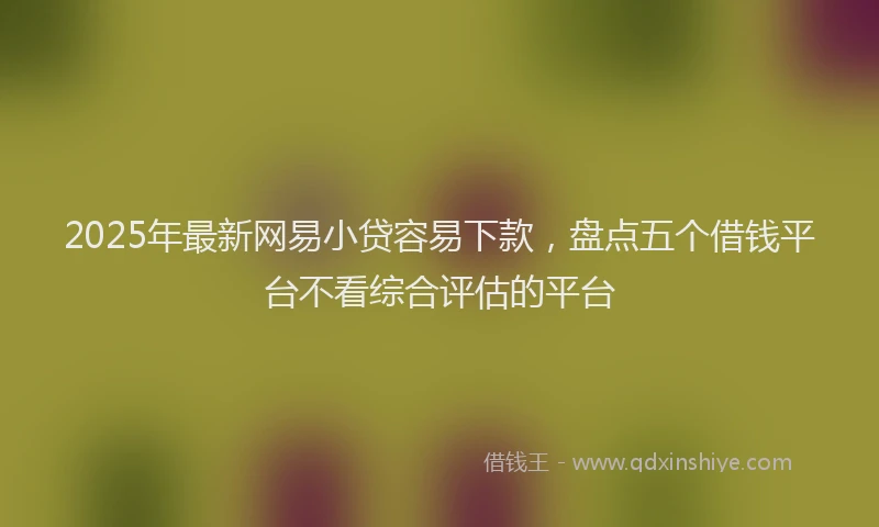 2025年最新网易小贷容易下款，盘点五个借钱平台不看综合评估的平台